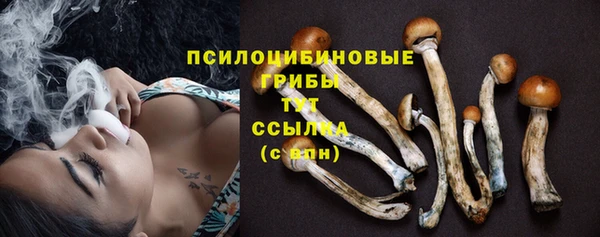 кокс Алексеевка