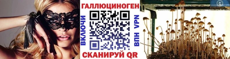 Галлюциногенные грибы Psilocybe  Купить  Электрогорск 