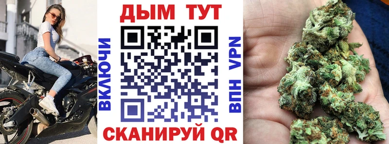 Купить  Электрогорск  Конопля семена 